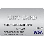 $100 Visa Gift Card $95 + Free Shipping