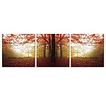 Furinno 3-Panel 20&quot; x 60&quot; Autum Leaves Printed Canvas Wall Art $29.27 + Free Store Pickup at Home Depot/Walmart, FS at Amazon