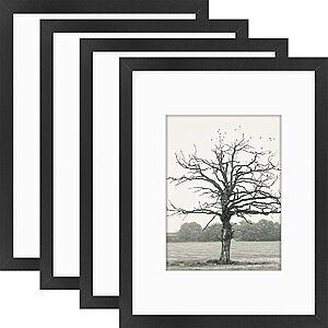 4-Pack Picture Frame Wall Set w/ Polished Plexiglass (9" W x 12" H) $14.44 Shipping is free on orders $35+