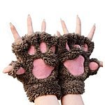 Women's Bear Plush Cat Paw Winter Gloves (Assorted Styles) $2