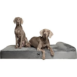 XXL NOAH & PAW Orthopedic Cooling Gel Memory Foam Dog Bed w/ Waterproof Washable Cove (Grey) $68.82 + Free Shipping w/ Prime or $6 Fee per Order