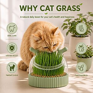 3-in-1 Cat Grass Slow Feeder Bowl
