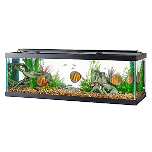 Petco Dream Deal Days Promotion Entire Pet Purchase of 35 w
