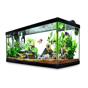 Petco fish tank deals sale