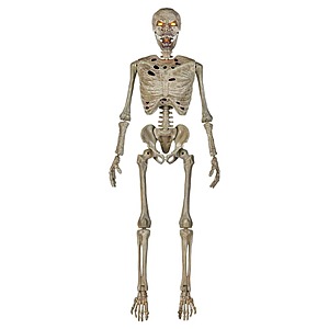 Select Stores: 5' Home Accents Grave & Bones LED Ultra Pose-N-Stay Corpse $23 & More + Free Shipping