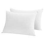 2-Pack: Park Hotel Luxury White Down &amp; Down Alternative Blend Pillows (Queen) $24.99 + Free Shipping