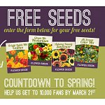 *DEAD* Free Packet of Seeds From Holland Bulb Farms - FB