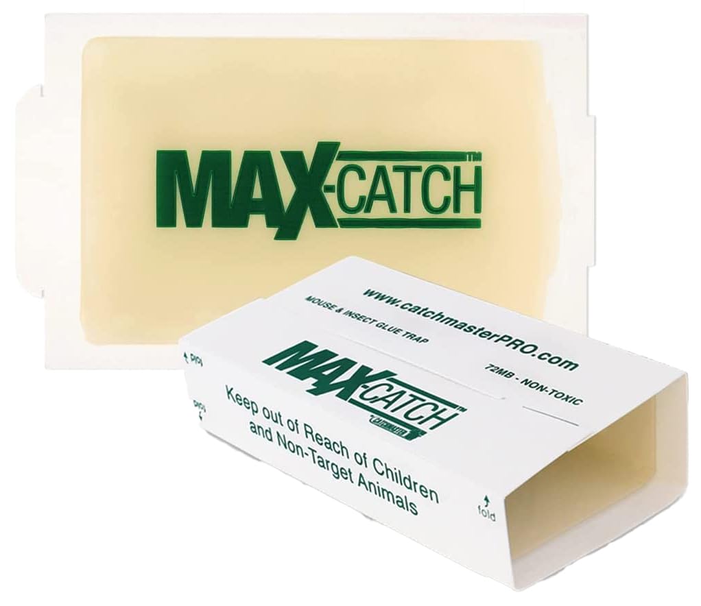 72-Pk. Catchmaster Max-Catch Mouse & Insect Glue Trap Mouse Traps Non Toxic  $21.27 + Free Shipping w/ Prime or on $35+