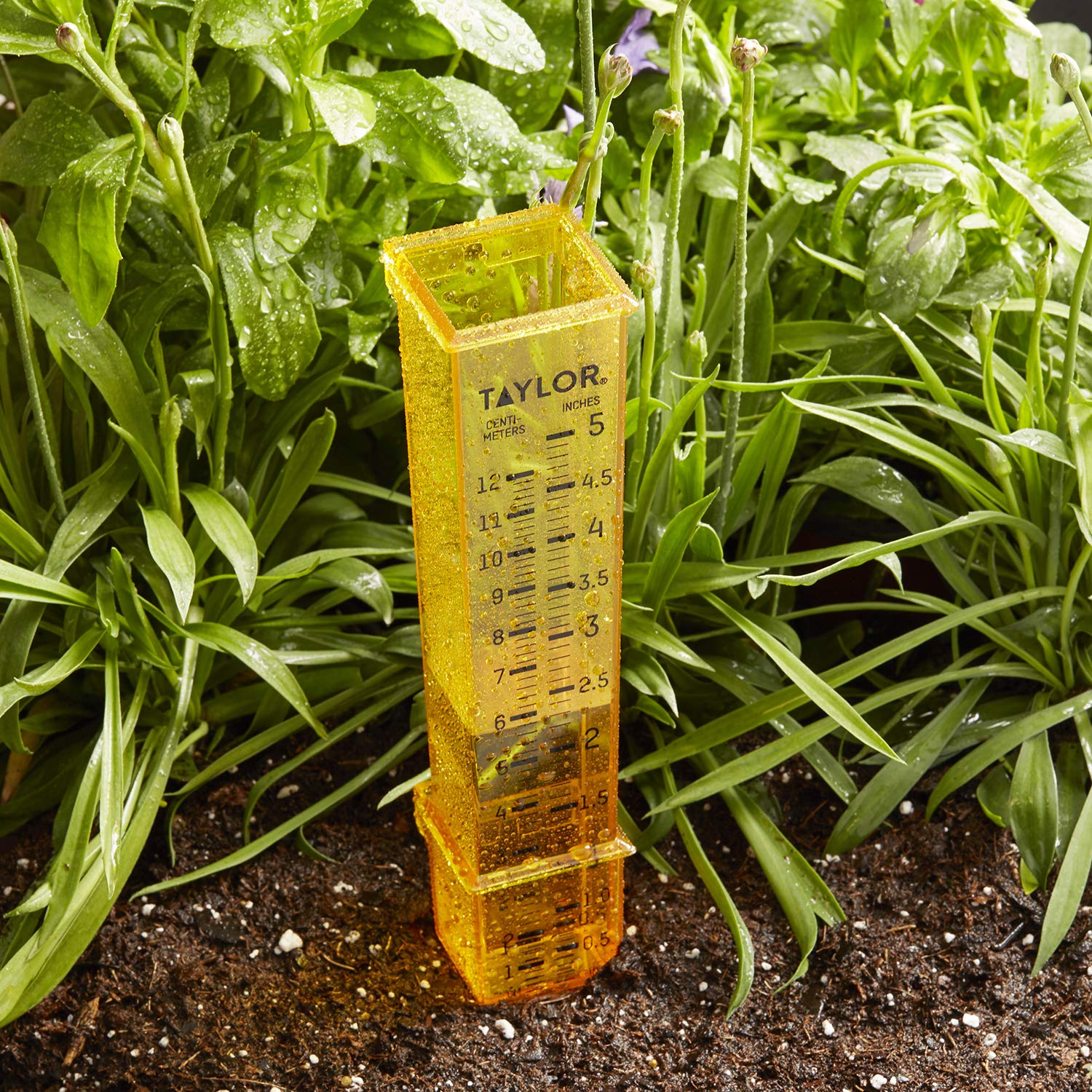 Taylor 2715 2-in-1 Rain/Sprinkler Gauge (Yellow) $2.99 + Free Shipping w/ Prime or on $35+