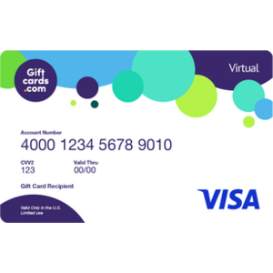 100 Visa Virtual eGift Account 95.95 Fees Included Email Delivery