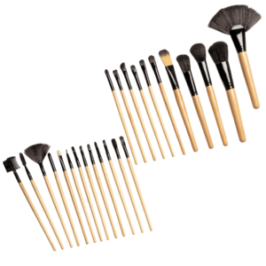 Makeup Brush Studio 24-Piece Set with Travel Case $9.99 + Free Shipping