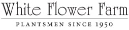 Save 10% on Gift Certificates of $50 or more @ White Flower Farm