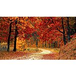 Fall Travel Deals: Wyndham Hotels Up to 20% Off, Avis Car Rental Up to 25% Off &amp; More