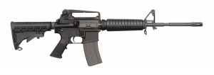 Enter to win Bushmaster AR-15 rifle; must be US resident