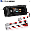 ECO-WORTHY 12V/24V 20A Lithium LifePO4 14.6V Smart Battery Charger &amp;amp; Maintainer $32 + free s/h