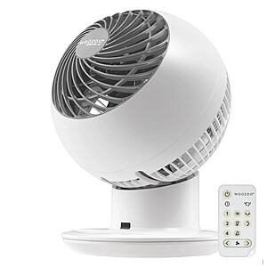 Costco in warehouse and Online Pricing Starts 4/6/26 Woozoo 5-Speed Globe Fan $26.99