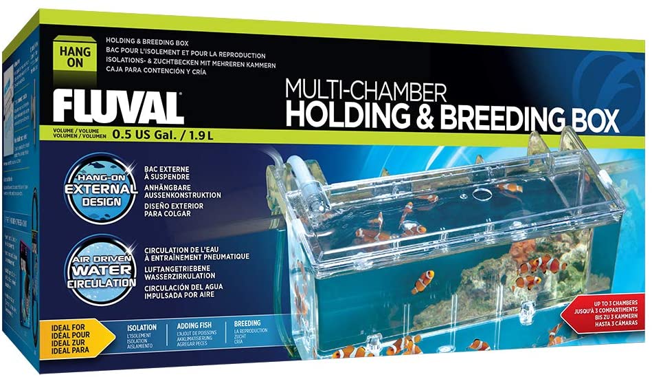 Marina Hang-On Fish Breeding Box (Large) $2.30