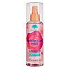6-Oz Tree Hut Moroccan Rose Fragrance Body Mist $3.09 w/ S&amp;amp;S + Free Shipping w/ Prime or on $35+