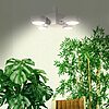 30W SANSI Full Spectrum LED Grow Light $17.26 + Free Shipping w/ Prime or on $35+