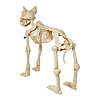 4' Way To Celebrate Animated Skeleton Cat w/ Light Up Eyes $29.75 + Free S&amp;amp;H w/ Walmart+ or on $35+