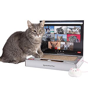 ScratchPad Pro Laptop Cat Scratcher Toy .70