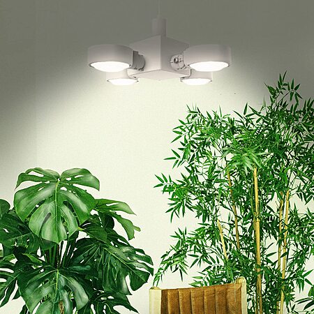 50% Off SANSI LED Grow Light!