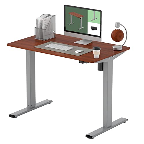 FLEXISPOT EG1 Height Adjustable Electric Standing Desk (40