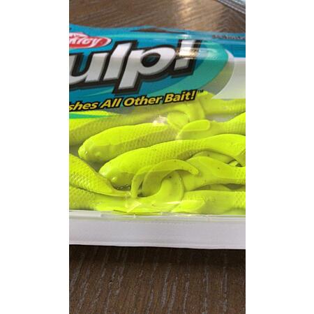 Berkley GSSM Gulp - 4" - few colors - pack of 10 - $6.02 FS w/prime