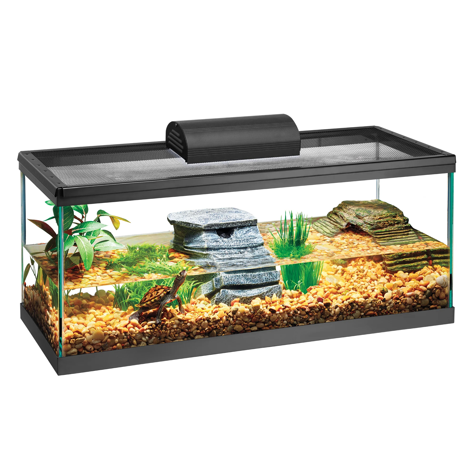 1 a on sale gallon sale petsmart