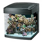 Oceanic Biocube 29 Gallon Aquarium Petco $239 or $225 + Tax FS