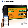 Eco-Worthy 24V 100AH LiFePO4 Battery