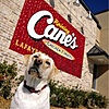 Free chicken finger with purchase of box combo at Raising Cane's on Sunday, July 27th for National Chicken Finger Day.