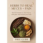 Free Herbal Remedy Guide for Mucus + Pain Relief Guide - download