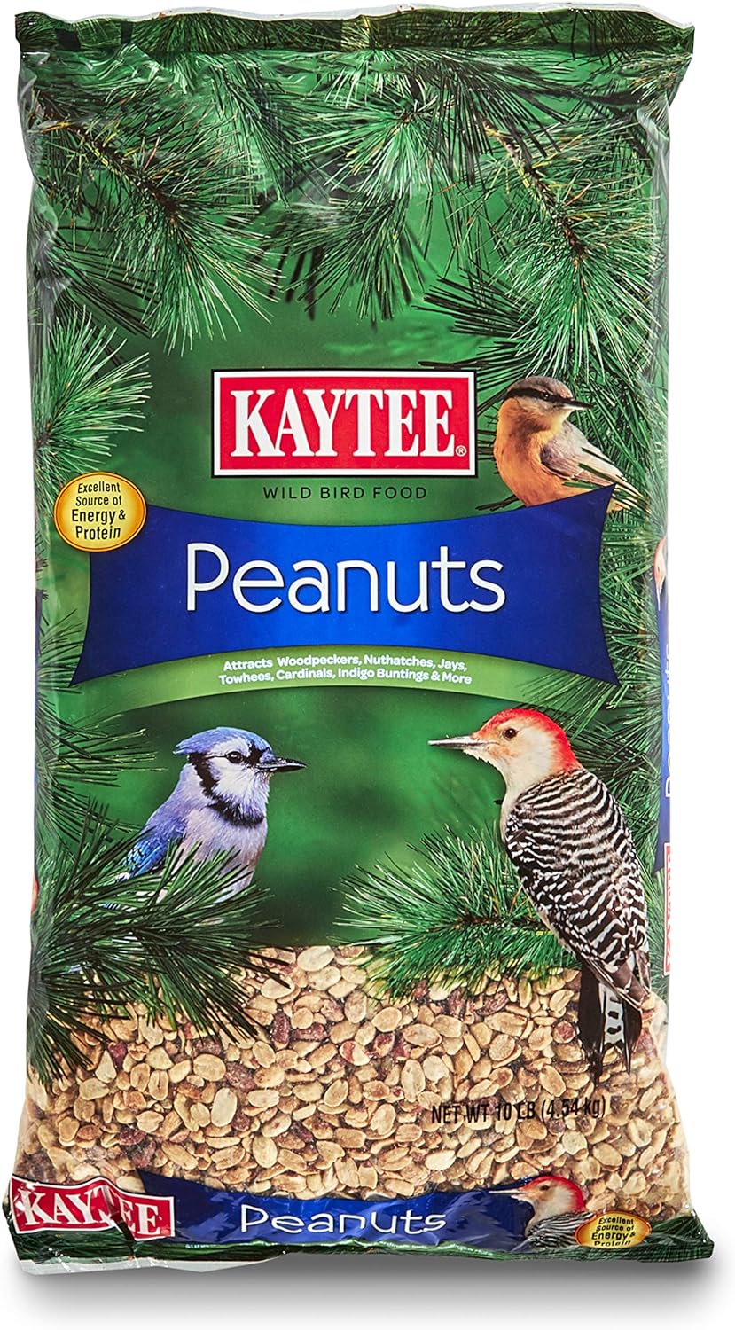Amazon.com: Kaytee Shelled Peanuts For Woodpeckers, Nuthatches, Jays, Towhees, Cardinals, Indigo Buntings & Other Wild Birds, 10 Pound : Patio, Lawn & Garden - $11.99