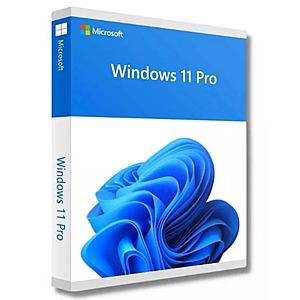 Windows 11 Pro Lifetime Activation Key (Digital Download) .90 & More