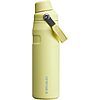 $17.50*: 24-Oz STANLEY IceFlow Fast Flow Water Bottle (Pomelo) at Amazon