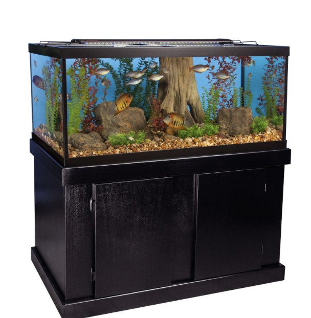 Marineland Majesty Aquarium & Stand Ensemble, 75 Gallon $212.50 petsmart with instore pickup