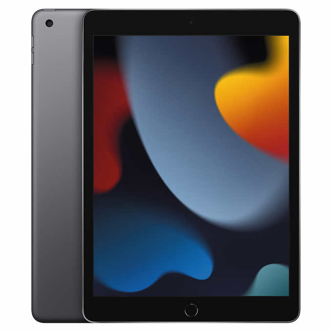 Apple iPad (9th Generation) Latest Model 2021, Wi-Fi, 256GB, Space Grey