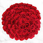 Costco Members: 50-Stem Valentine's Day Roses (8 Color Options) $60 + Free Shipping (Select Delivery Dates)