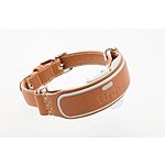 LINK AKC Smart GPS and activity tracker Collar- $99+tax +FS after Coupon and Discount - Normal price $175