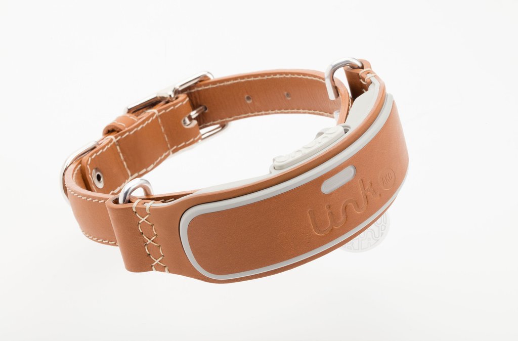 LINK AKC Smart GPS and activity tracker Collar- $99+tax +FS after Coupon and Discount - Normal price $175
