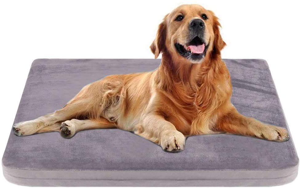 JoicyCo Orthopedic Pillow Dog Bed w/ Removable Cover, Amazon.com - Starting at $12.89