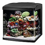 Coralife 32-Gallon LED Biocube Aquarium $192.25 + Free Shipping
