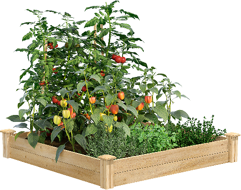 Greenes Fence 4 X 4 X 7 Cedar Raised Garden Bed 46 98 Page 4