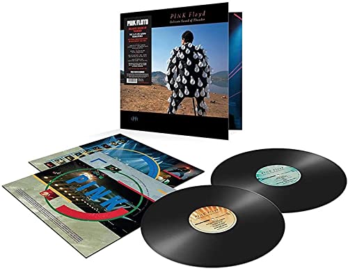 Pink Floyd - Delicate Sound Of Thunder - vinyl 2LP $32 + free S&H w Prime