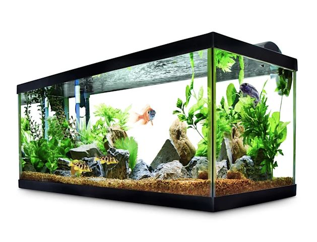 20-Gallon Long Aqueon Standard Glass Aquarium Tank $27.99