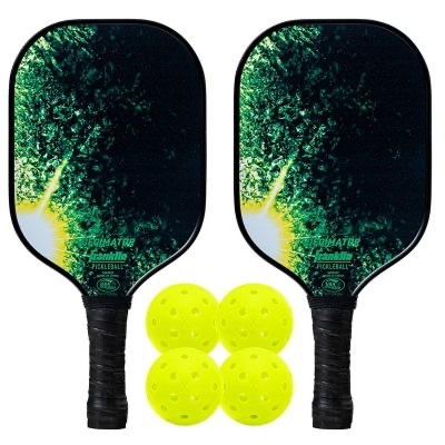 Sam's Club Members: Franklin Pickleball 2-Player Paddle & X-40 ...