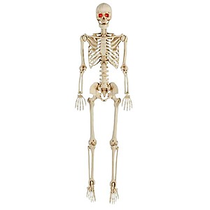 Home Depot: Halloween Decor: 5' Home Accents Holiday LED Pose-N-Stay Skeleton $18 + Free Shipping & More