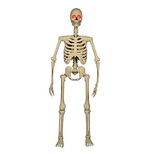 5' Haunted Living Ultra Posable Skeleton Halloween Decoration $25 + Free Pickup