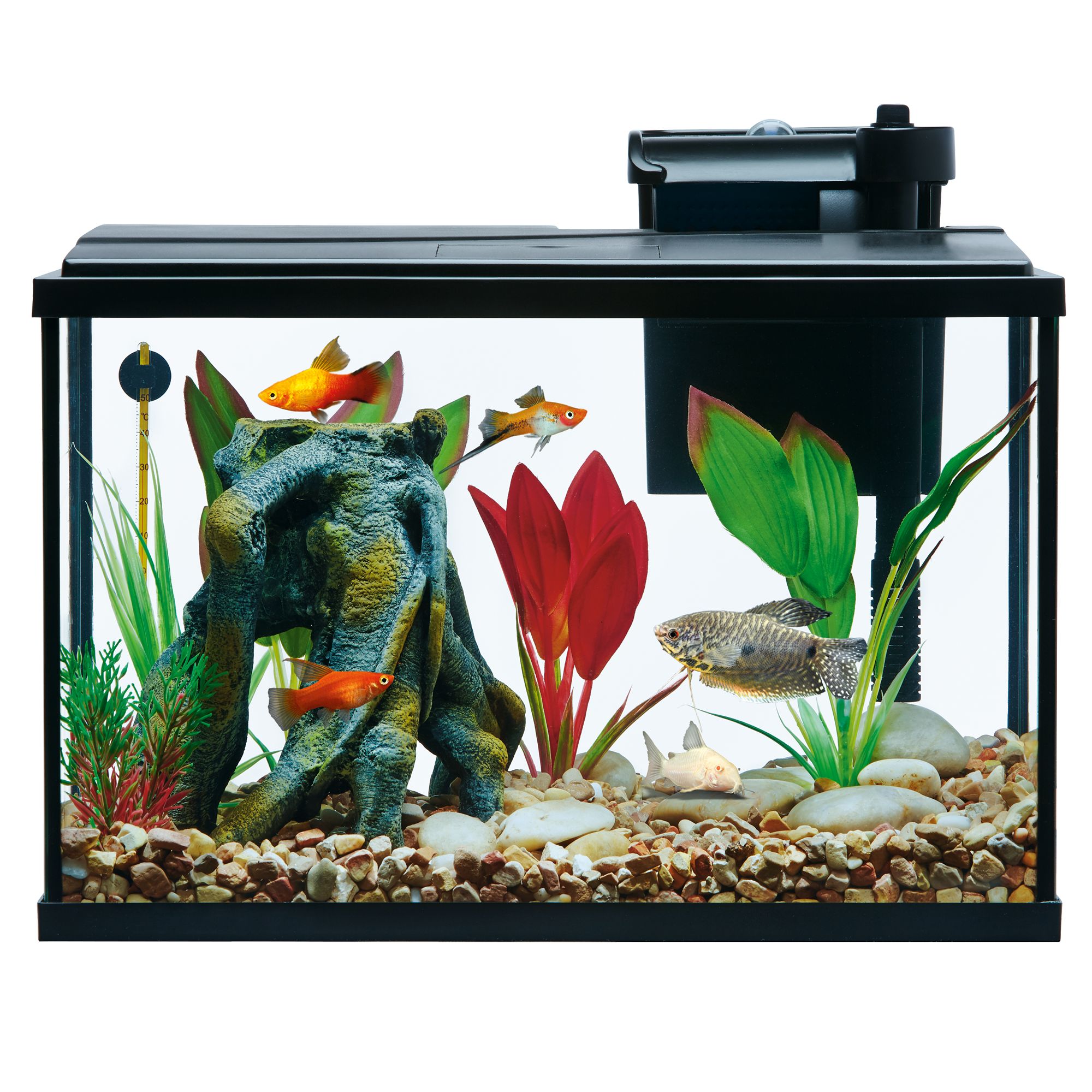 Petsmart top 5.5 gallon